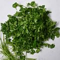 Fresh parsley