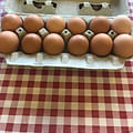 Fresh eggs