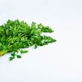 fresh parsley bunch