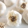 garlic cloves