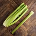 celery stalk