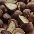 fresh chestnuts