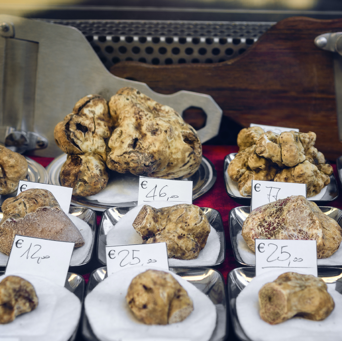 Alba White Truffle Fair