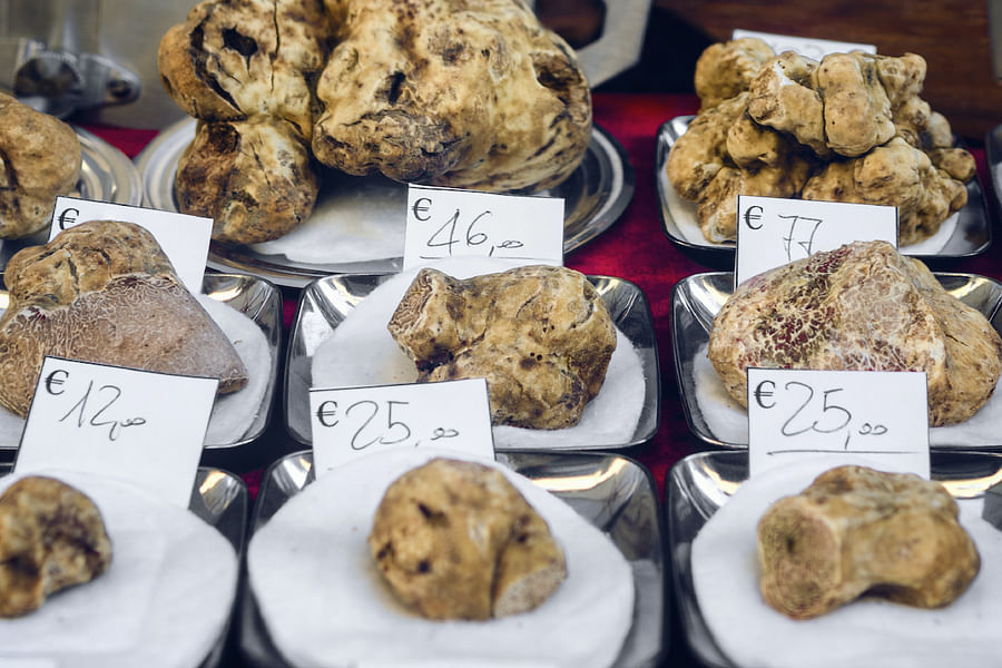 Alba White Truffle Fair
