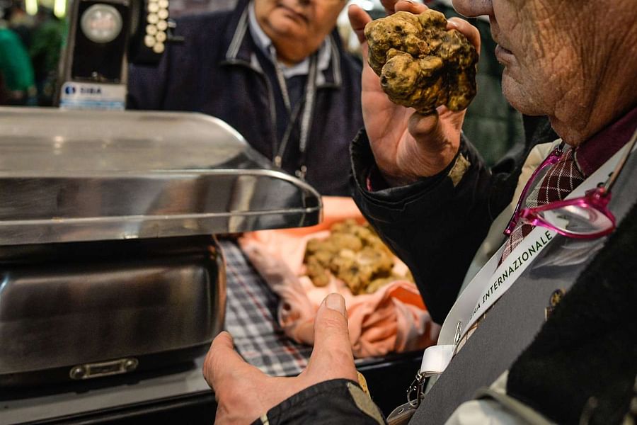 Aqualagna Truffle Fair