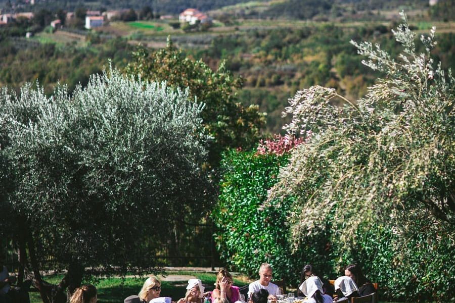 Italian vineyard photography workshop