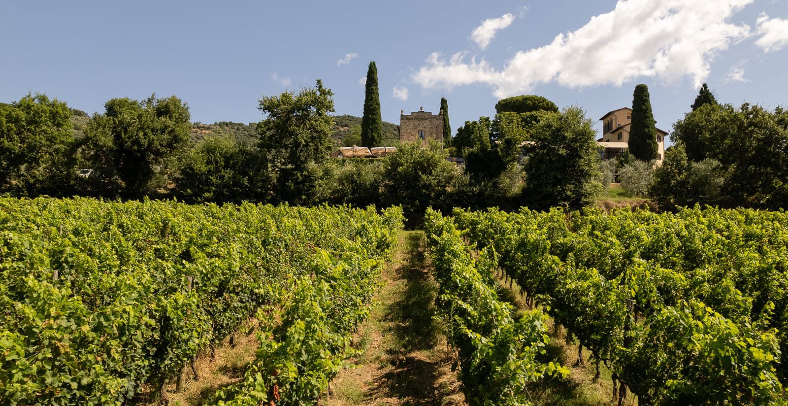 Italian vineyard seasonal menu