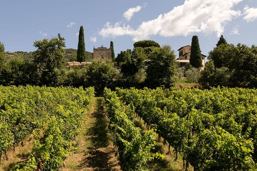 Italian vineyard seasonal menu