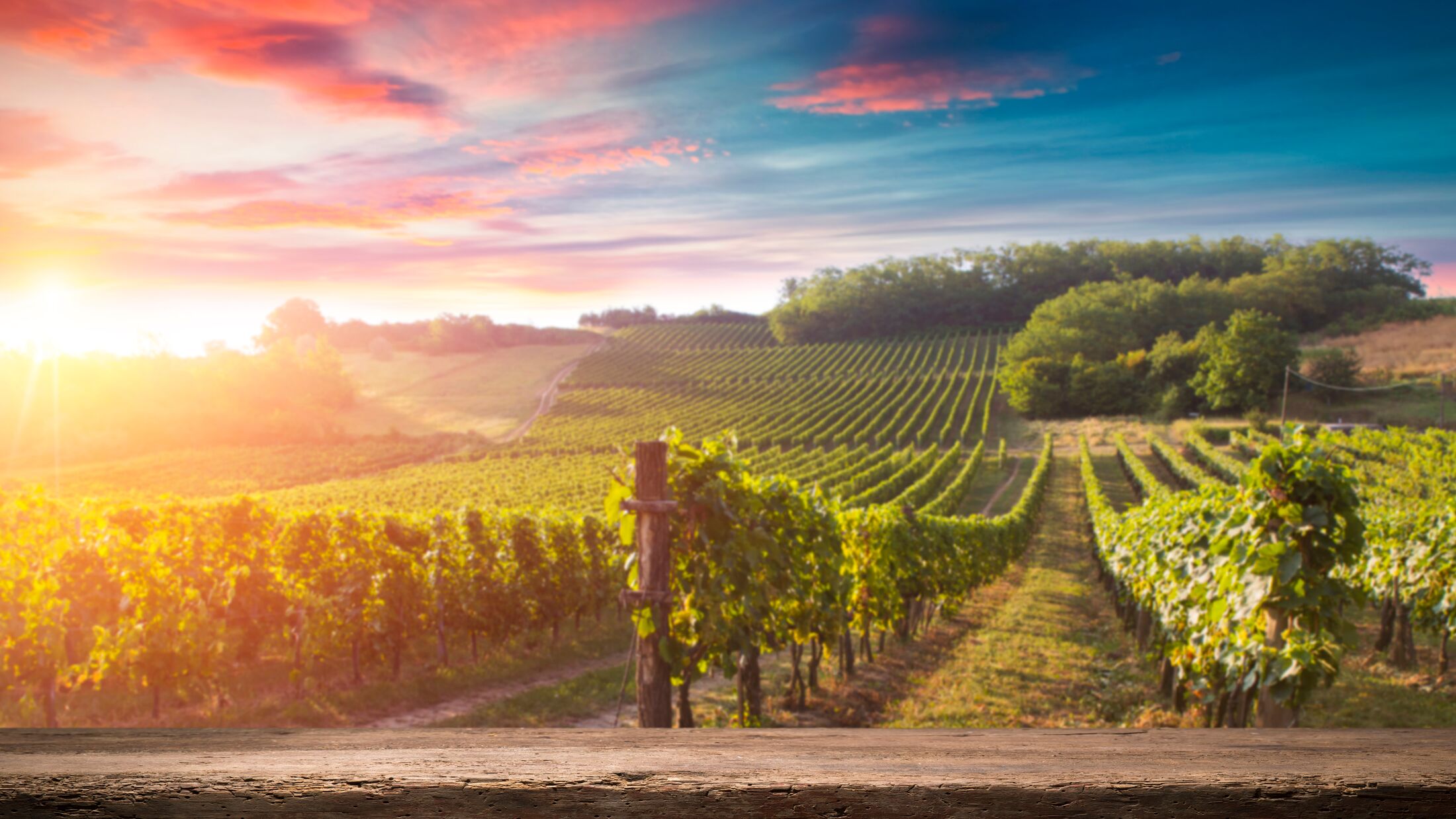 Italian vineyard sunset tour