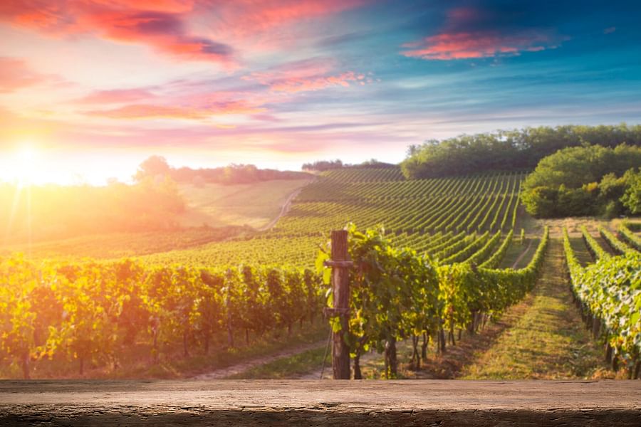 Italian vineyard sunset tour