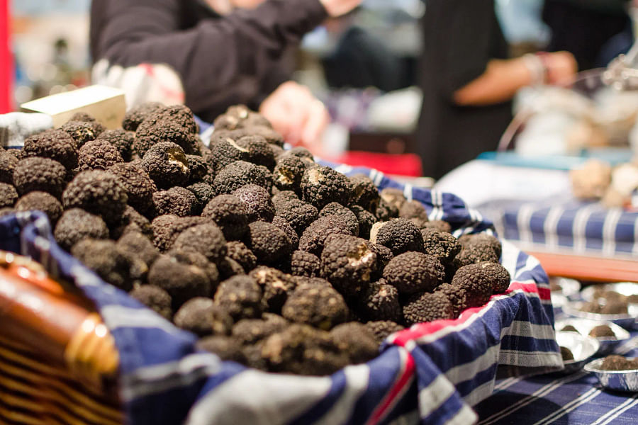 Savigno Sagra del Tartufo